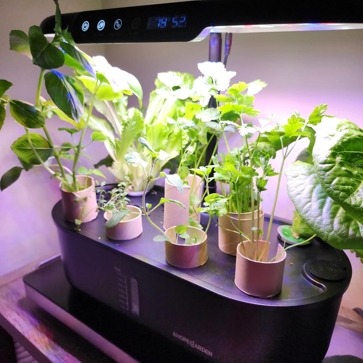 Ahopegarden Hydroponics Growing System Kit: 12 Pods Temp & Humidity Monitor | Indoor Herb Garden with Full Spectrum LED Grow Light for Growing Vegetables, Herbs and Lettuce - Beginner Plant Gardeners customer photo 2