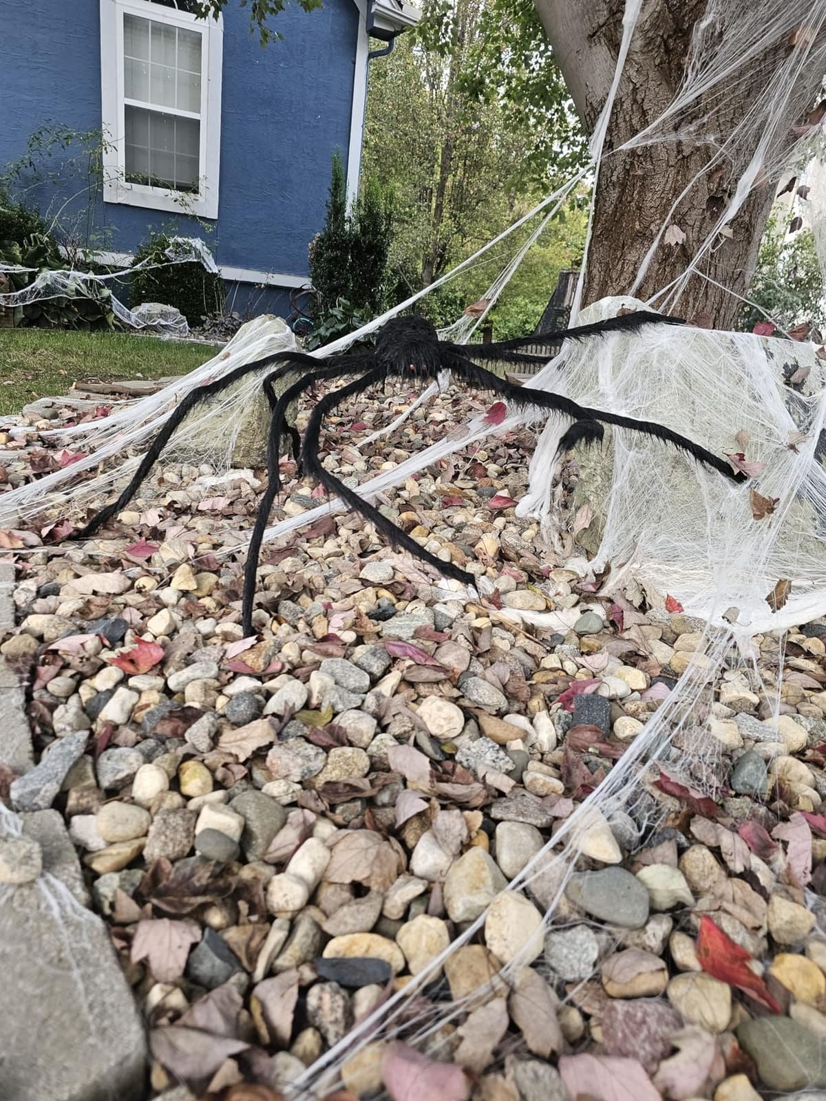 JOYIN 5ft Halloween Spider Outdoor Decorations, Scary Giant Large Spider Props for Halloween Outside Decor, Indoor Party Supplies and Yard Lawn Decoration, Brown customer photo 1