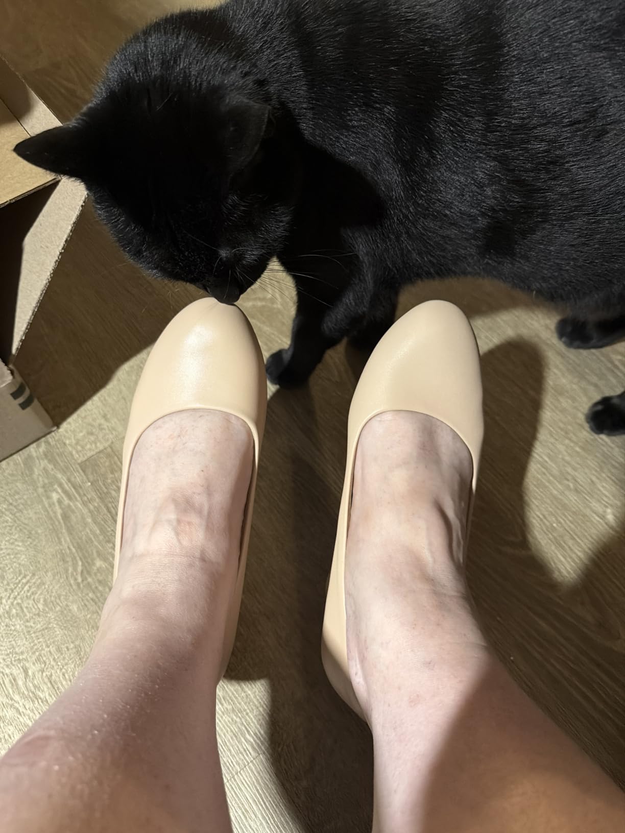 Women's Block Heel Pumps Round Toe Dress Shoes customer photo 1