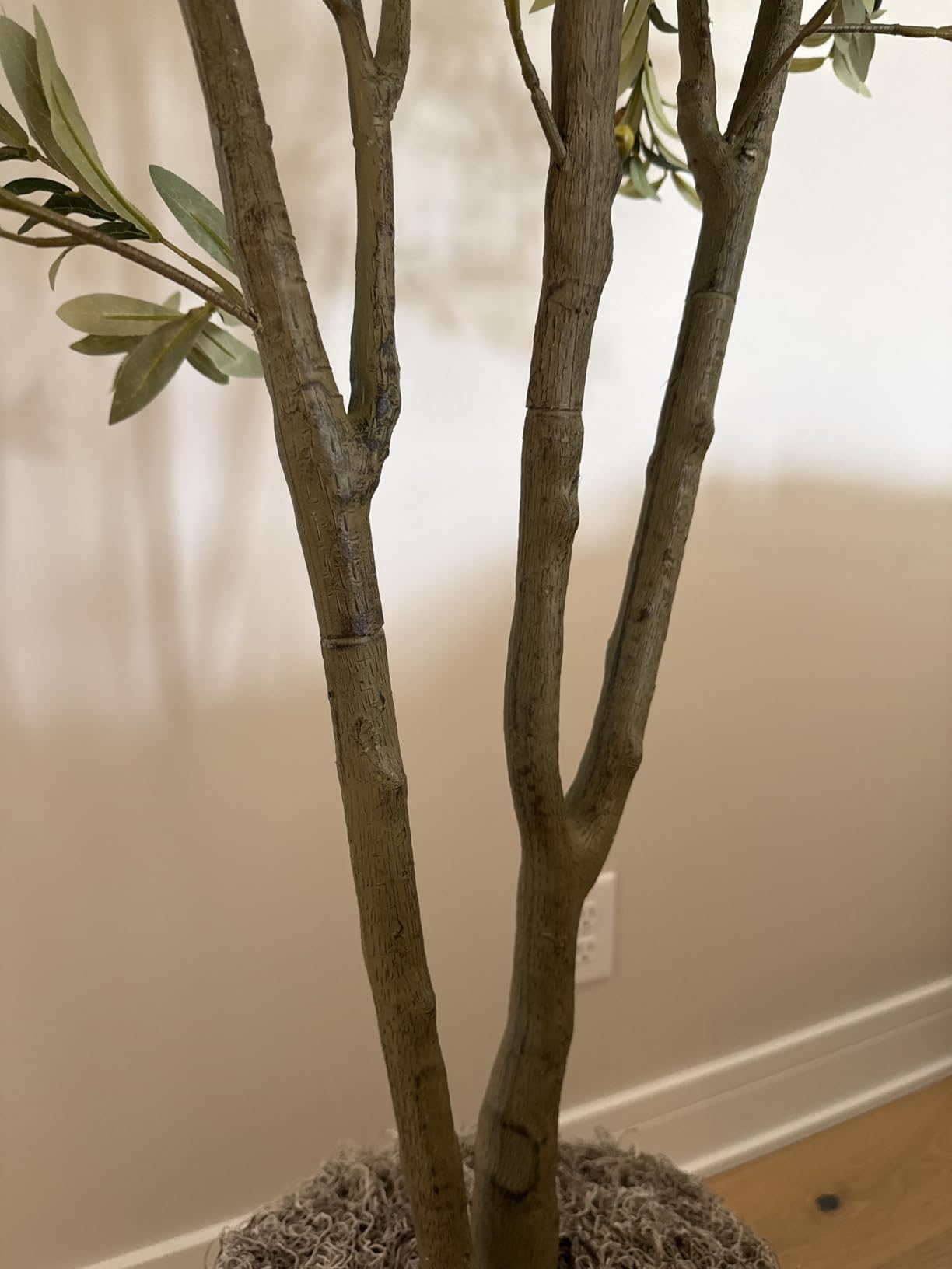 VIVATREES Olive Trees Artificial Indoor, 7FT Tall Faux Olive Tree with White Tall Planter, Artificial Plants with Natural Wood Trunk and Lifelike Fruits for Home Office Decor customer photo 2