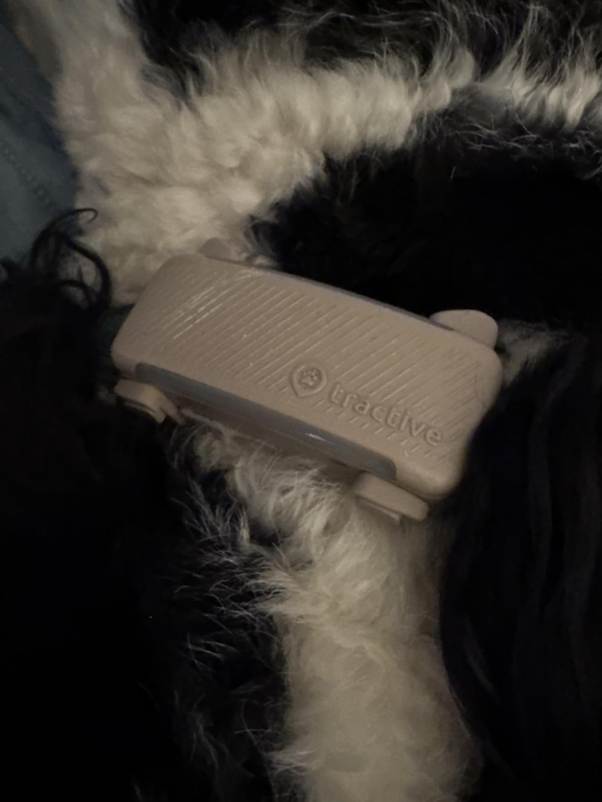 Tractive Smart Dog GPS Tracker | Live Pet Tracker with Virtual Fence | Vital Signs Monitoring of Heart & Respiratory Rate | Bark Monitoring | Dog Collar Attachment (Brown) customer photo 1