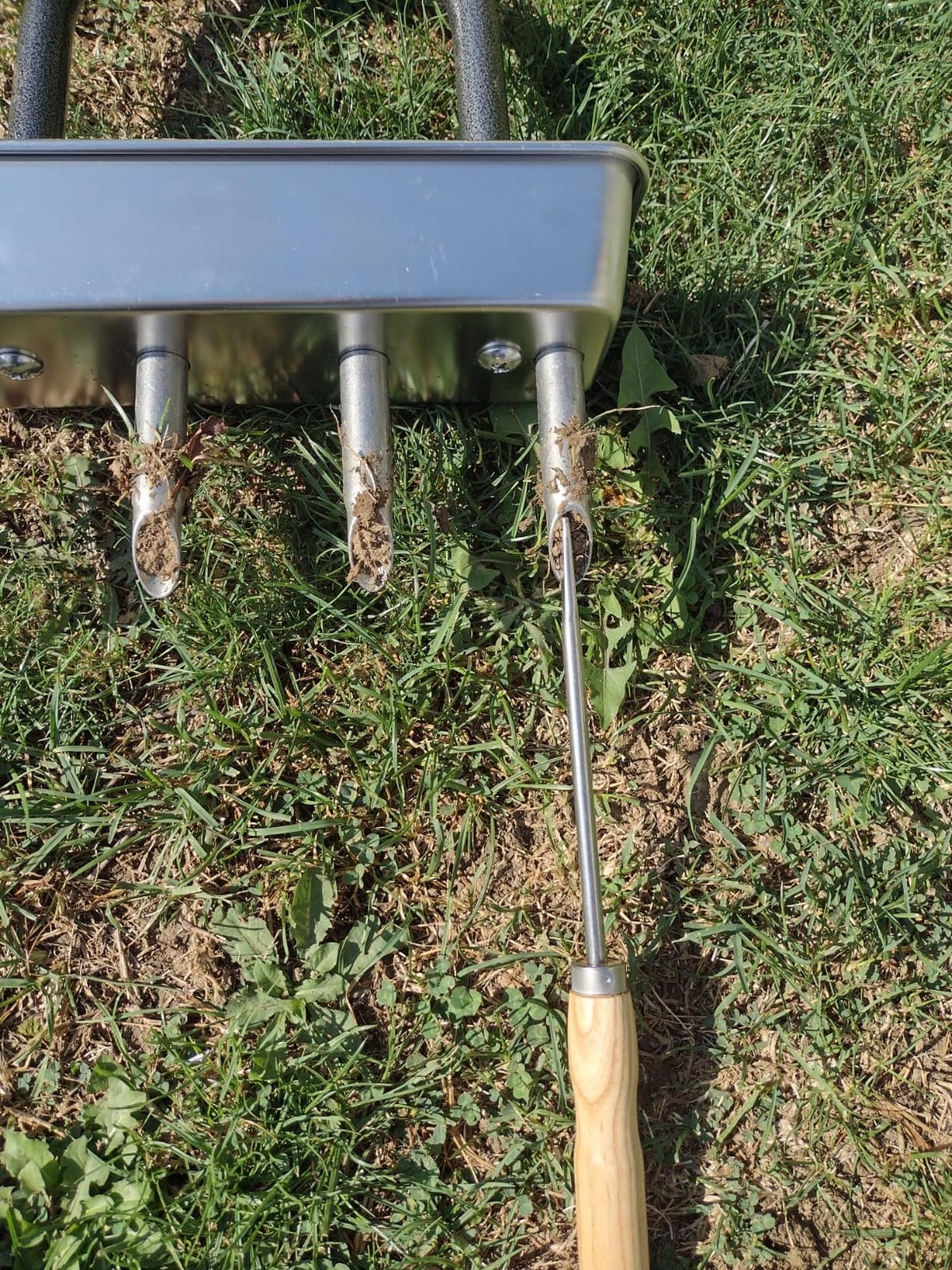 Dolibest Lawn Coring Aerator, Manual Lawn Aerator,4 Stainless Steel Corer Plug Aerator with Soil Core Storage Tray, Pre-Assembled Manual Grass Aerating Tool & Clean Hand Tool, Improving Lawn Health customer photo 1