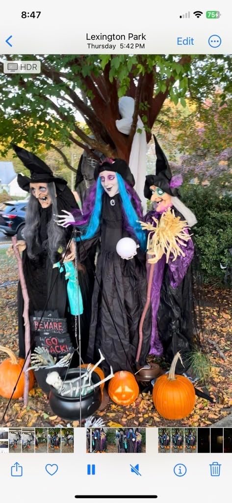 Halloween Decorations Outdoor Witch Cauldron Tripod with Fog Maker & Skull | 52-inch tall display, green light mist effect, large cauldron & skeleton, stable setup for porch yard lawn Halloween scenes customer photo 2