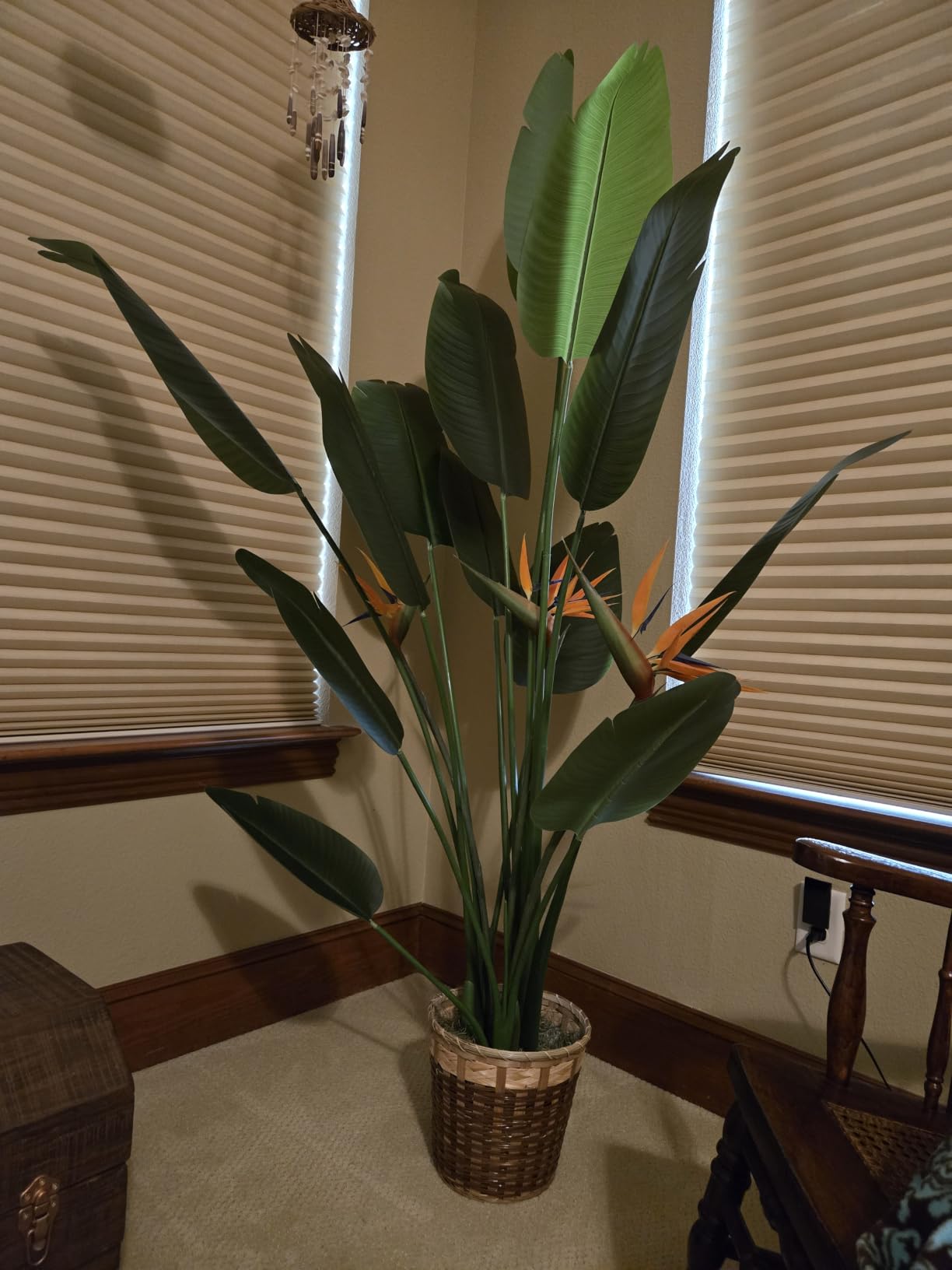 Bird of Paradise Plant Artificial 6ft, Faux Plants Indoor Tall with 12 Trunks - The Perfect Indoor Silk Floor Plant for Home Decor in Living Room, Office, and Bedroom (6FT Bird of Paradise) customer photo 1
