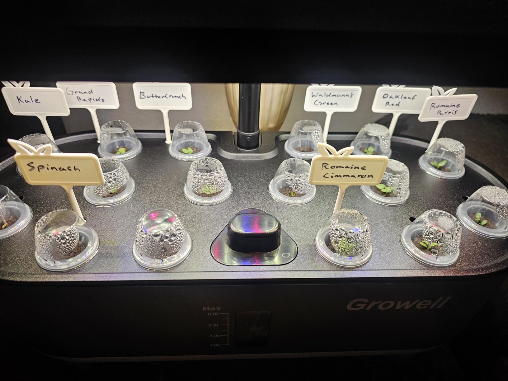 Growell Hydroponics Growing System Kit, 16 Pods Indoor Garden with 28W Full Spectrum LED Grow Light, Auto Timer, 3 Smart Light Modes, 8L Large Herb Garden, Ideal Gardening Gift for Women, Men customer photo 1