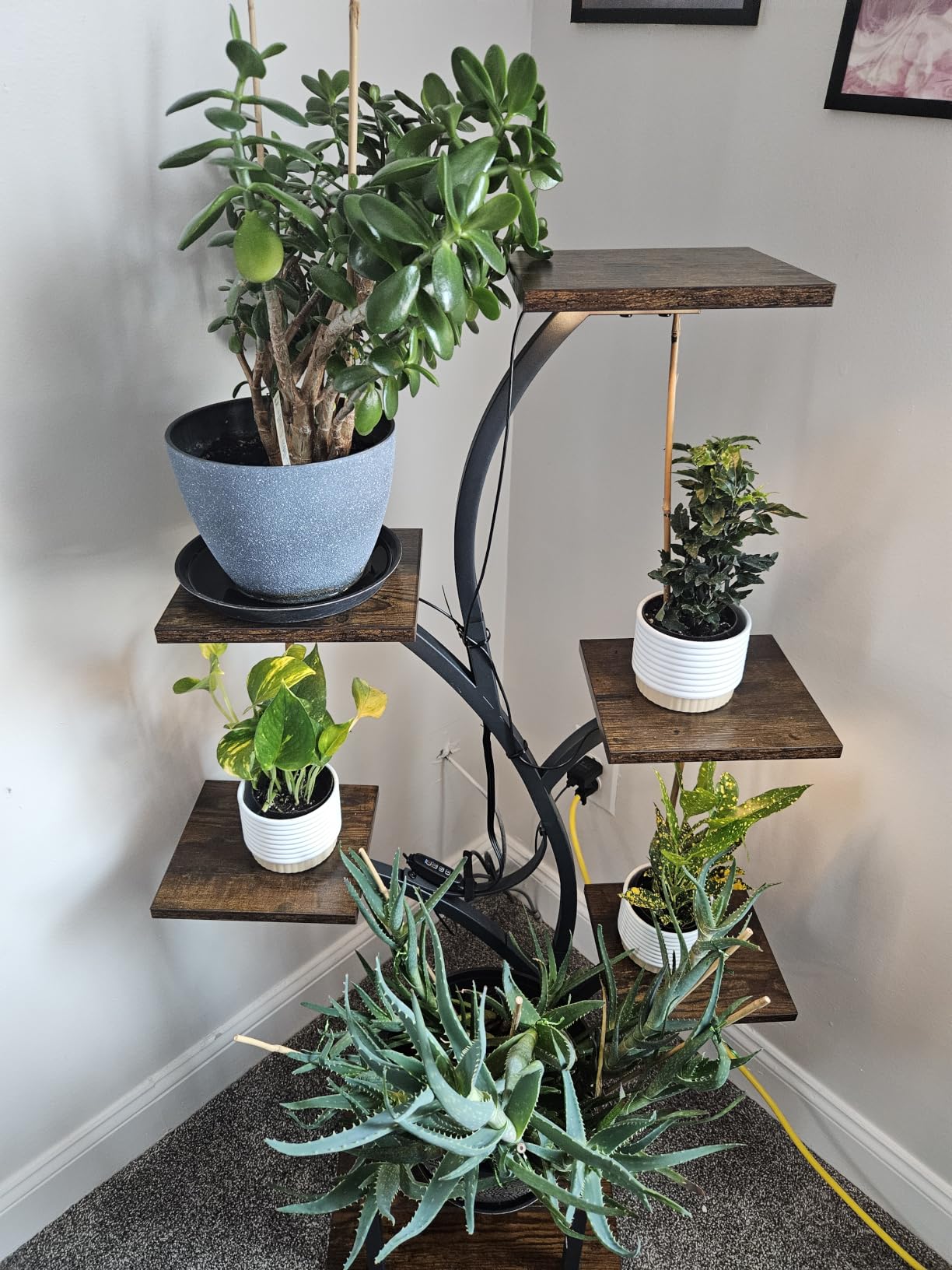 BACEKOLL Plant Stand Indoor with Grow Light, 7 Tier 49