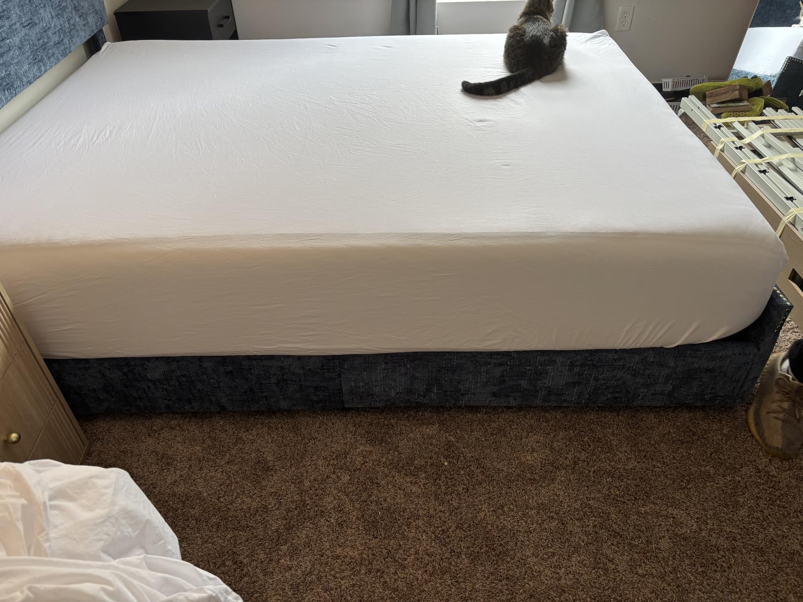 ZOYER 100% Cotton Percale Sheets Queen - Cooling Breathable Bed Sheets for Hot Sleepers, Crisp Hotel Style Bedding, Deep Pocket 16