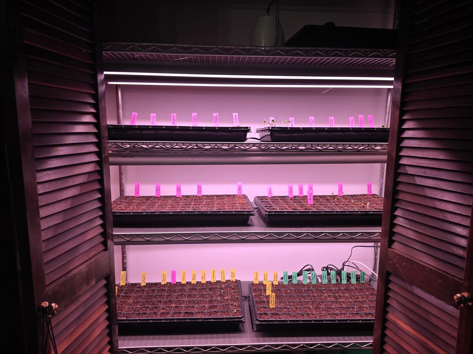 Barrina T8 Grow Lights for Indoor Plants, 5000K Full Spectrum, 1FT, 4 Packs | White Grow Light Strip, 60W(4 x 15W), Plant Light for Greenhouse Indoor Growing, V-Shape with Reflector, Linkable customer photo 1