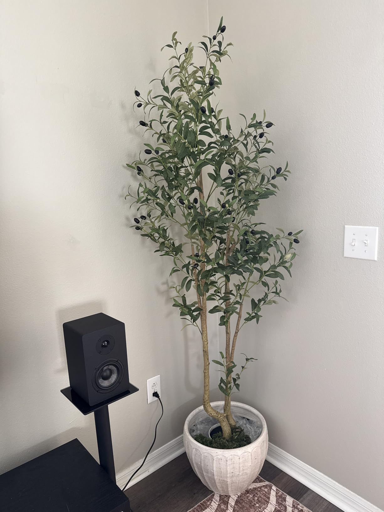 HZXGCP 6ft Artificial Olive Tree Indoor, Fake Olive Tree with White Pot, Faux Olive Tree with Dense Leaves & Realistic Fruits, Tall Artificial Plant for Home Living Room Office Entryway Decor customer photo 2