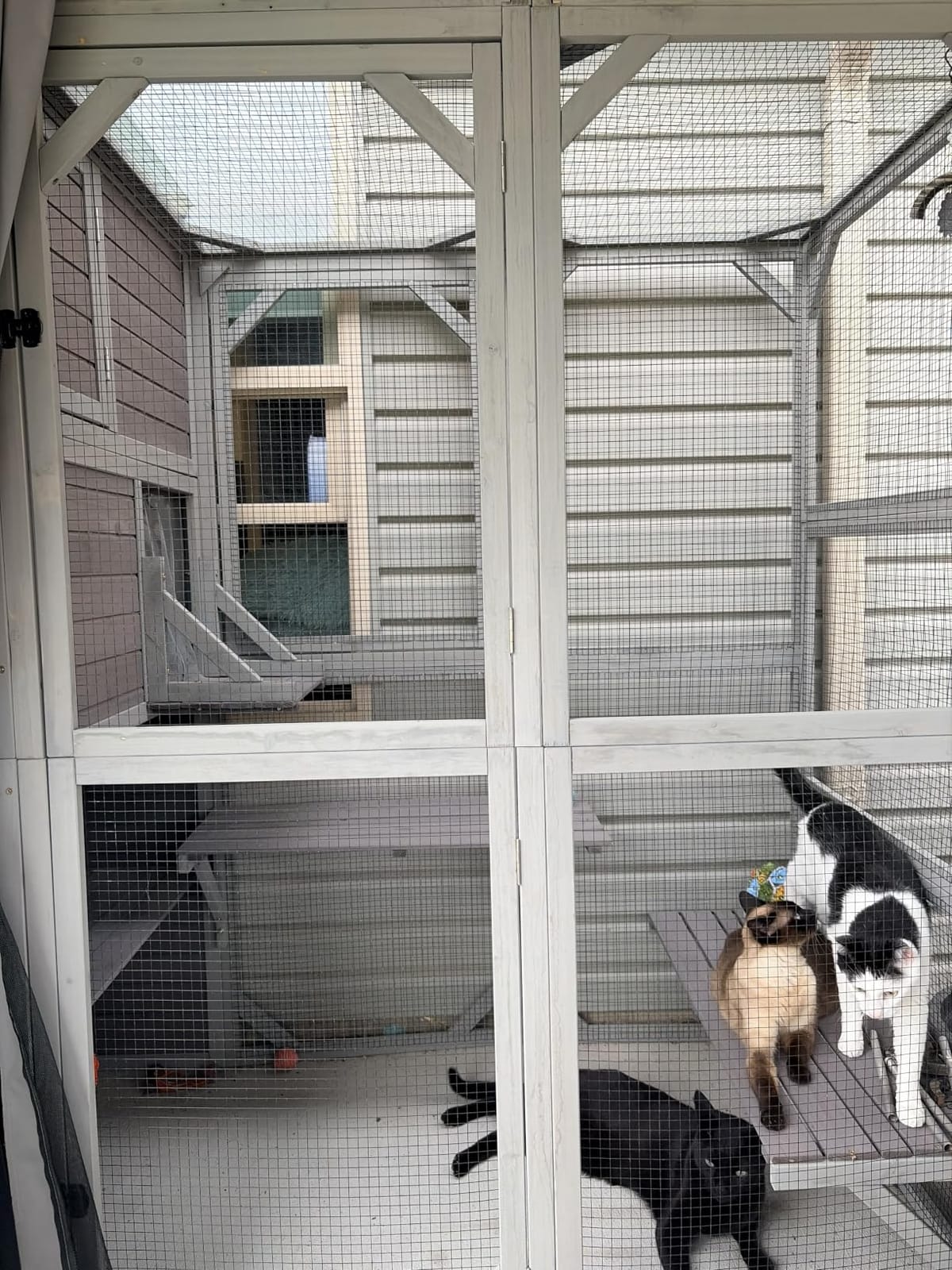 Large Catio Outdoor Cat Enclosure 4 Tiers Cat House with Weatherproof Roof | Weatherproof Roof, 3 Resting Rooms, 3 Platforms, 5 Windows,connects to house via removable back door 70