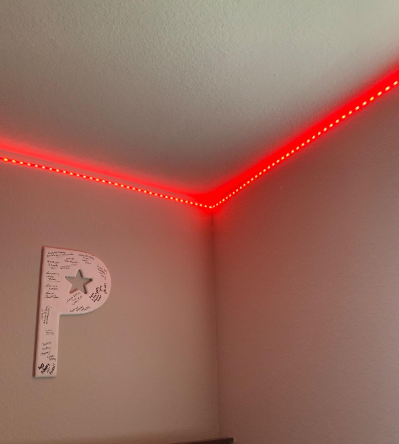 100FT Permanent Outdoor RGB Lights, IP67 Waterproof Smart LED Eaves Lights with App/Remote Control, for Christmas and All Holiday Decor, Daily and Accent Lighting, House Roof and Garden Lighting customer photo 2
