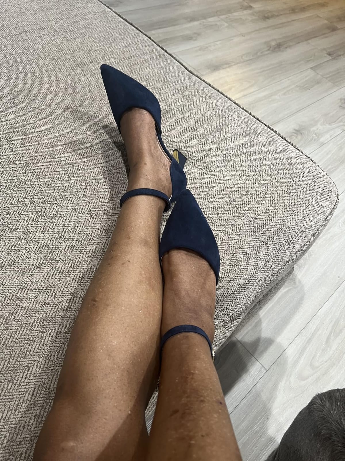 RIBRONGZ Comfortable Kitten Heels for Women Pointed Closed Toe Ankle Strap Buckle Heels Slip on Low Heel Church Pumps Wedding Bridal Party Dressy Shoes customer photo 1