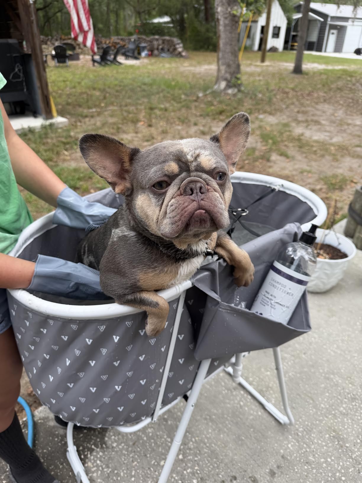VEVOR Portable Dog Bathtub Foldable Pet Shower Station with Drain, Grey customer photo 1