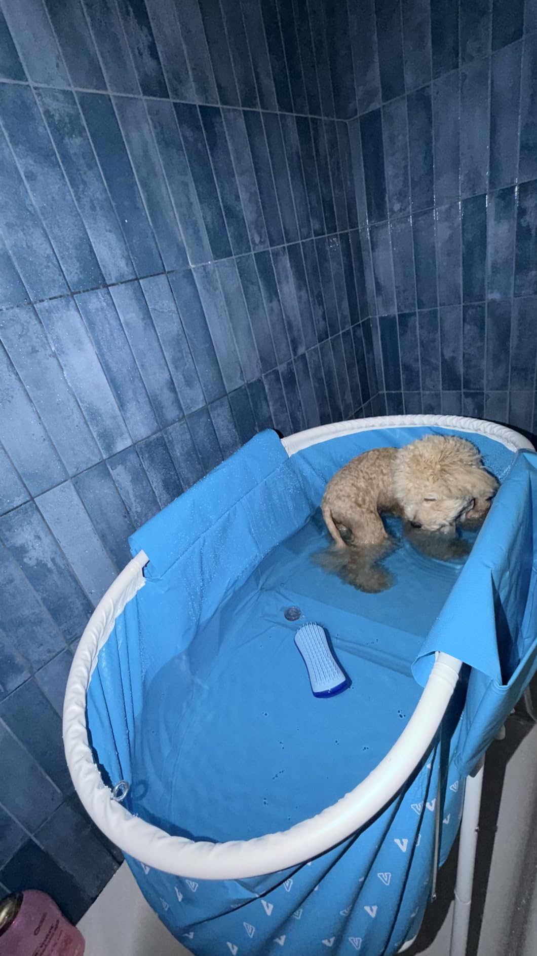 VEVOR Portable Dog Bathtub Foldable Pet Shower Station with Drain, Grey customer photo 2