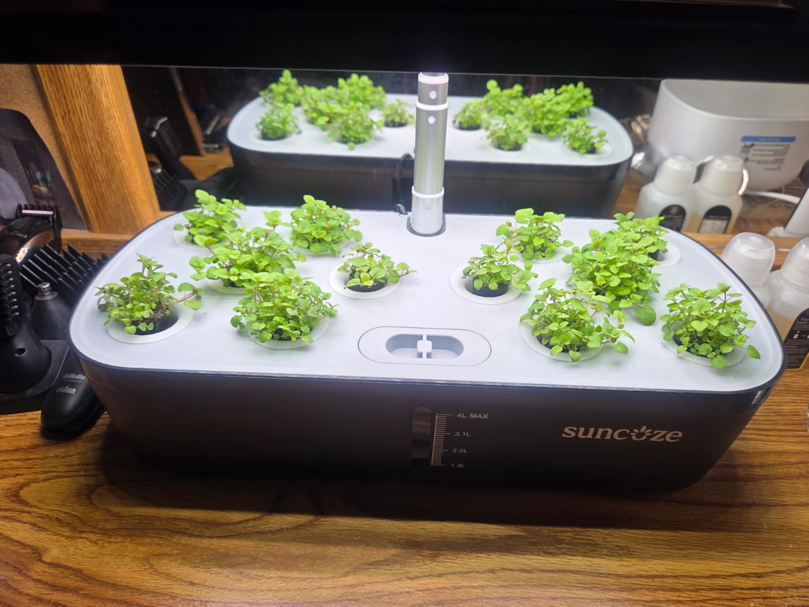 SUNCOZE Hydroponics Growing System, 12 Pods, 12.4 in Adjustable Height | Indoor Herb Garden with 20W LED Grow Light, Visible Water Tank with Pump, Indoor Gardening System, Gardening Gifts customer photo 2