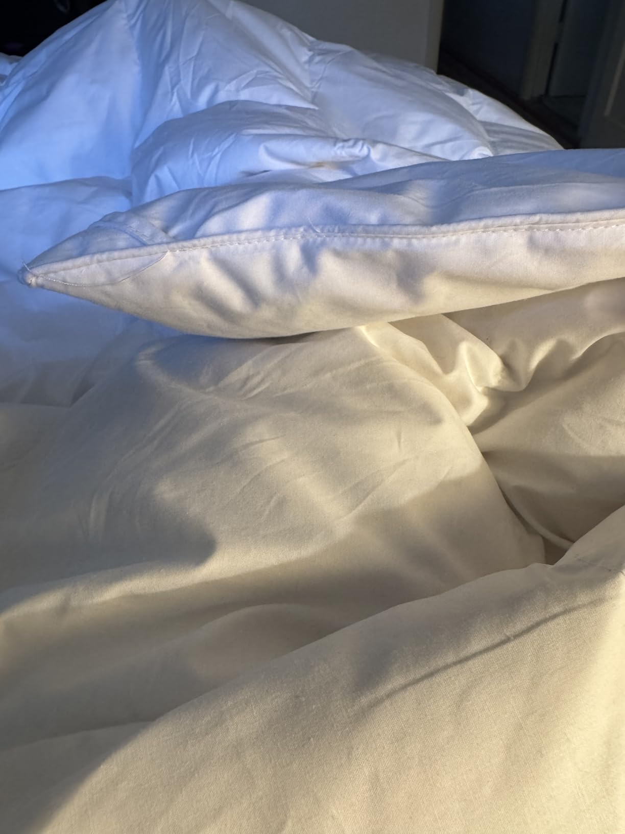 Beautyrest Extra Warmth King Size White Goose Feather Down Fiber Comforter | 100% Cotton Shell OEKO-TEX Certified Durable & Anti-Shift Duvet Insert with Corner Loops, Luxury Hotel Style Bed Comforter customer photo 1