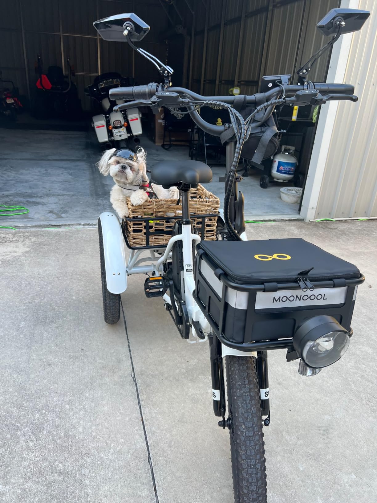 MOONCOOL Electric Tricycle for Adults, Aluminum 20