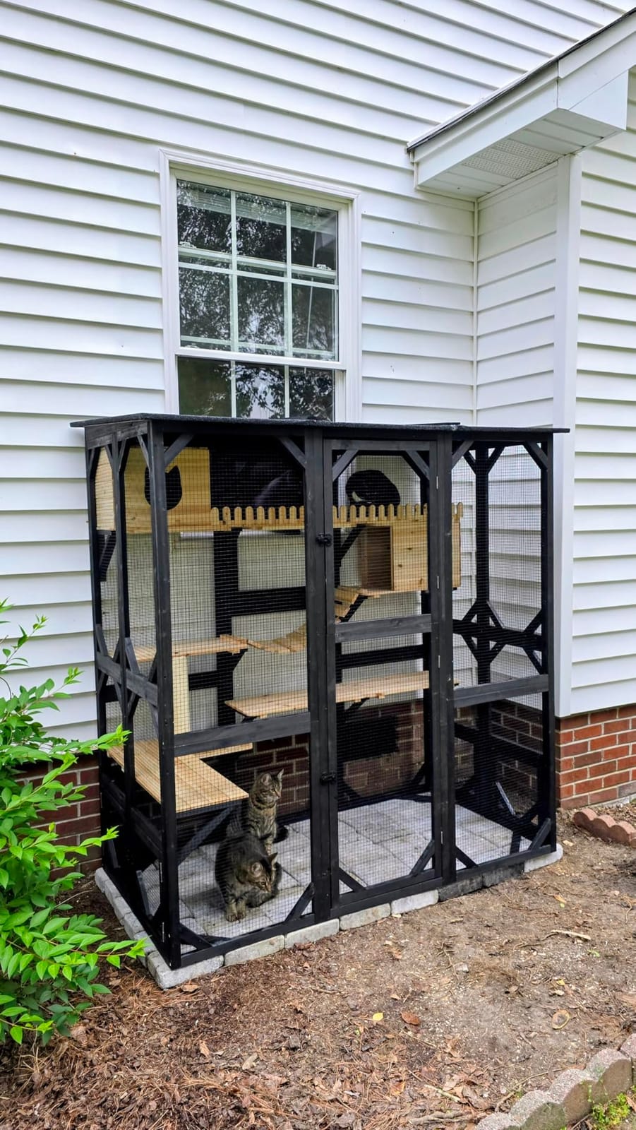 FunXplore Large Catio Outdoor Cat Enclosure Window 73