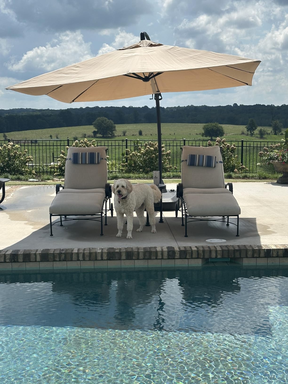 Grand patio 12FT Sunbrella Cantilever Umbrella with Base, Sapphire Blue customer photo 1