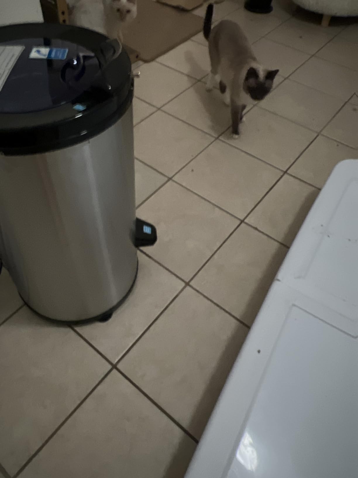 Panda 3200 RPM Portable Spin Dryer, 22lb Capacity, Dark Gray | Stainless steel drum and outer case; 110V portable spin dryer for apartments, RVs, dorms and compact laundry spaces. customer photo 2