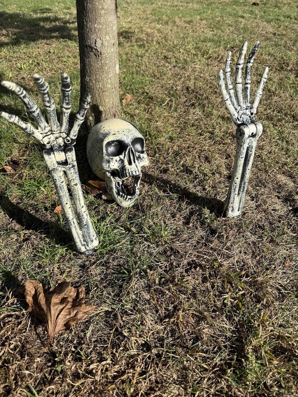 JOYIN 3 Pcs Halloween Skeleton Decorations Outdoor, Realistic Looking Skeleton Yard Stakes, Groundbreaker Skull Decor for Graveyard Yard Lawn Garden Party Supplies customer photo 2