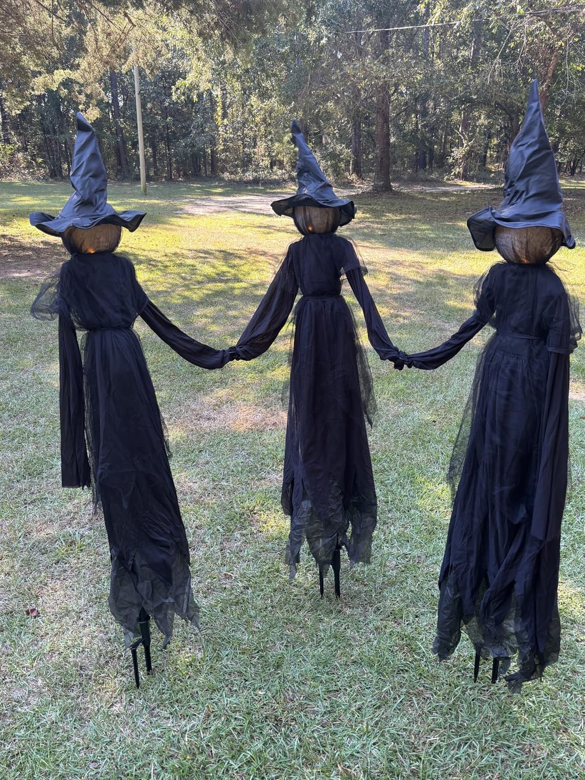 TW SHINE Halloween Witch Decorations Outdoor, 6 FT Set of 3 Holding Hands Witches Stakes with Glowing Face, Lighted Halloween Decor for Party Yard Lawn Porch Garden Haunted House Props customer photo 1