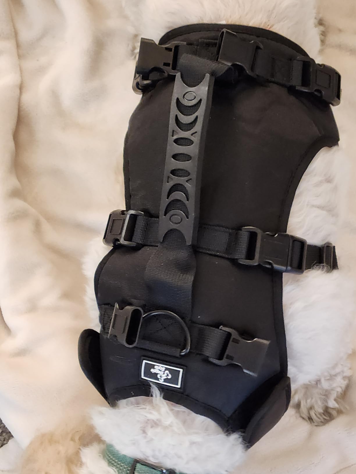 Doggie Stylz Dog Lift Harness, Full Body Support, Back Leg Support, Small | Large, Sling Carrier, Adjustable Handles, Recovery Vest, Senior Dogs, Arthritis Joint Injuries, Mobility Aid customer photo 1