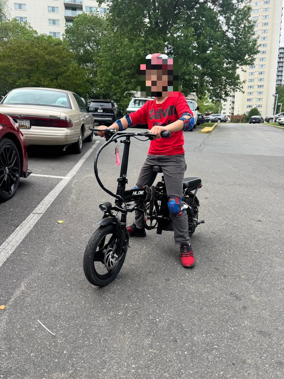 HLOIE Folding Electric Bike for Adults, Peak 750W Motor, 20MPH Max Speed Foldable Electric Bicycles, 14