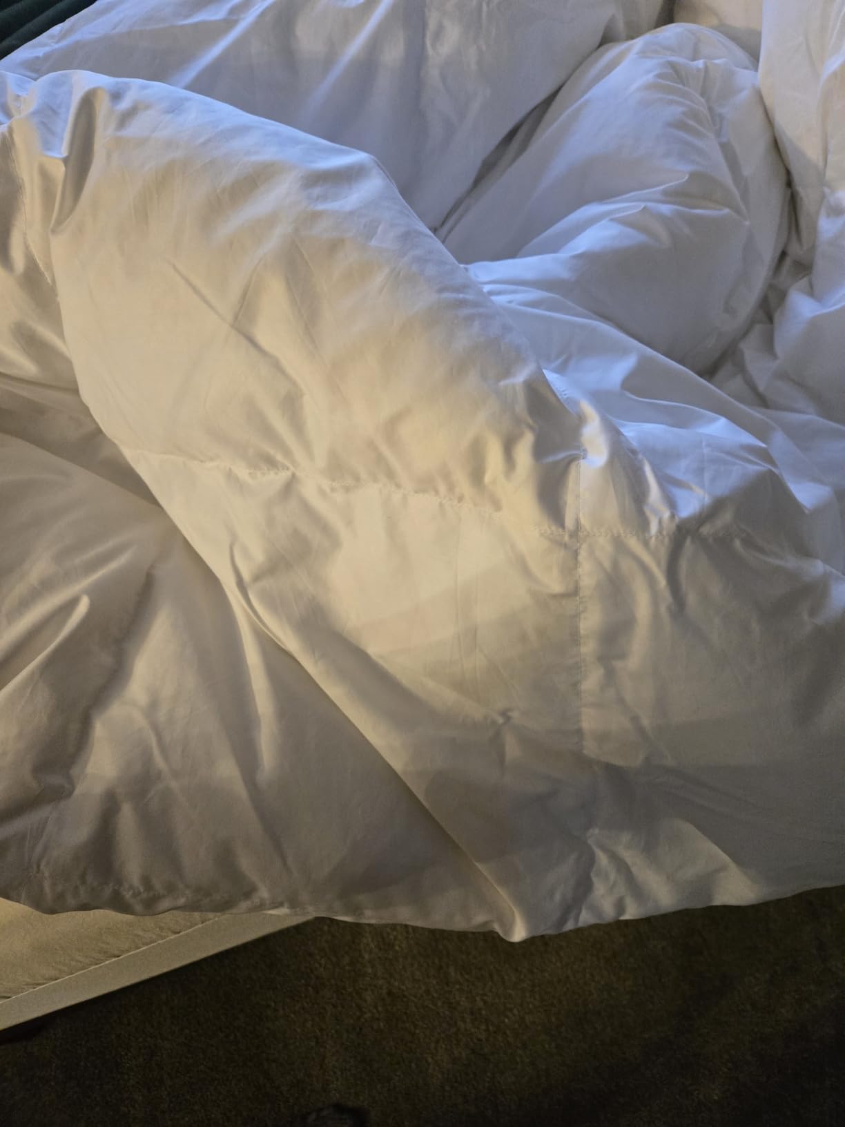 ACCURATEX Goose Down Comforter Queen Size Duvet Insert - 750 Fill Power with Baffle Box Design, Ultra Warm & Fluffy Winter White Hotel Luxury Cloud Thick Comforter, 56 oz Fill Weight, 90x90 customer photo 2