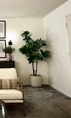 8FT Faux Fiddle Leaf Fig Tree Artificial Plants Indoor Ficus Lyrata Trees | Realistic Large Faux Trees Indoor in Pot, Fake Floor Plant for Home Decor Office Living Room Christmas Housewarming Gifts customer photo 2