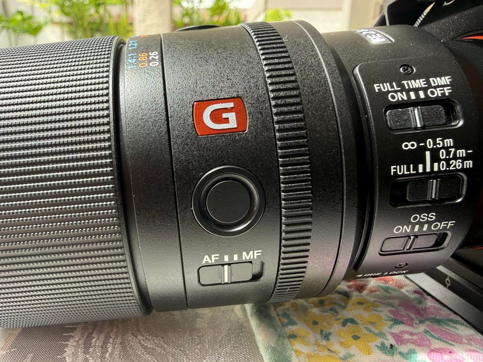 Sony FE 100mm F2.8 GM OSS Macro Lens with 1.4X Magnification (Sony E-Mount) customer photo 1