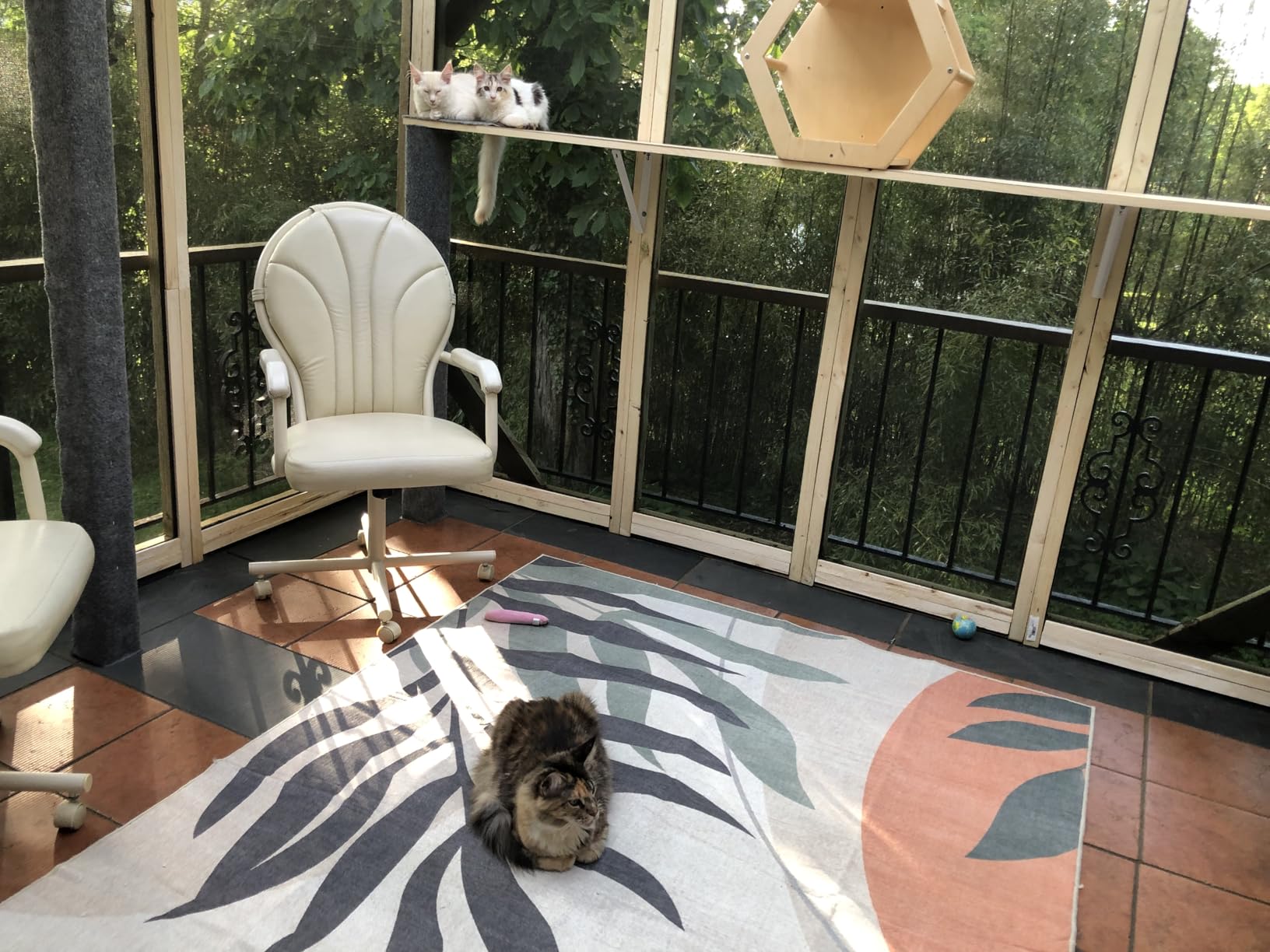 GENIMO 5x8 Outdoor Rug, Washable for Patio and Deck, Beige Olive | Botanical leaf design for porch; fade resistant chenille with quick-dry non-slip backing for indoor sunroom. customer photo 1