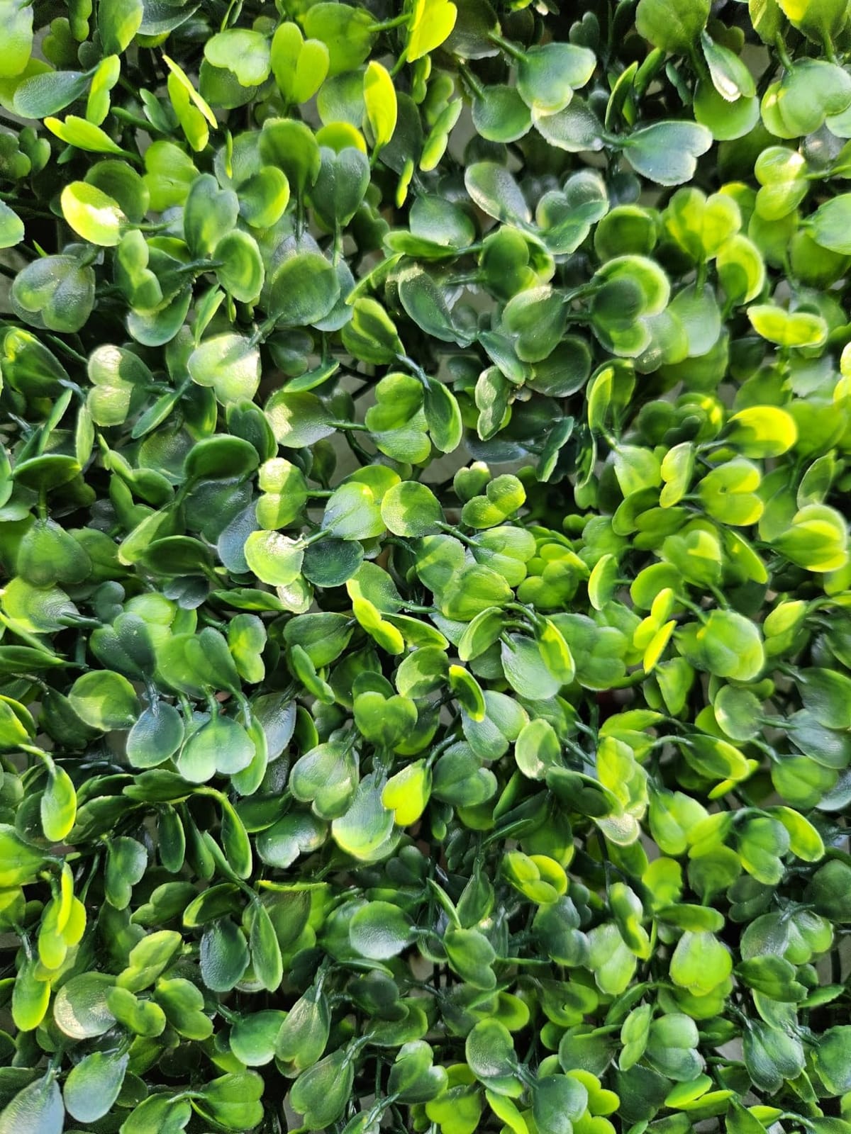 Artificial 40x120 in (33.5 Sqft) Boxwood Grass Wall Backdrop Roll | UV-Anti Faux Green Leaf Privacy Fence, Garden/Backyard/Patio/Balcony/Party Greenery Hedge Backdrop, Indoor Outdoor Decor customer photo 1