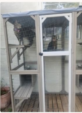 Catio Outdoor Cat Enclosure, Walk-in Cat House with Cat Tree & Hammock | Multi-Level Cat Tree with 2 Sleeping Condos, 2 Scratching Posts, 1 Hammock & Litter Box Shelf, Plus Indoor-Outdoor Access customer photo 1