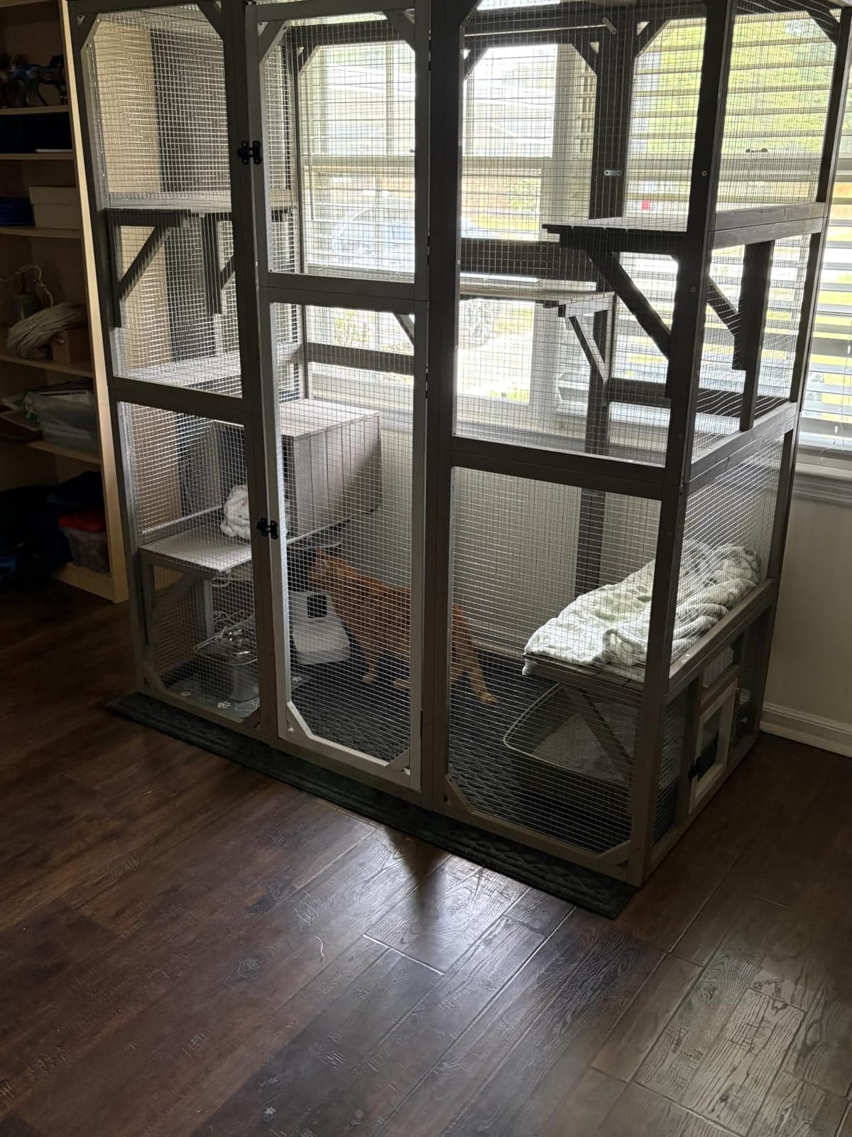 Catio Outdoor Cat Enclosure, Walk-in Cat House with Cat Tree & Hammock | Multi-Level Cat Tree with 2 Sleeping Condos, 2 Scratching Posts, 1 Hammock & Litter Box Shelf, Plus Indoor-Outdoor Access customer photo 2