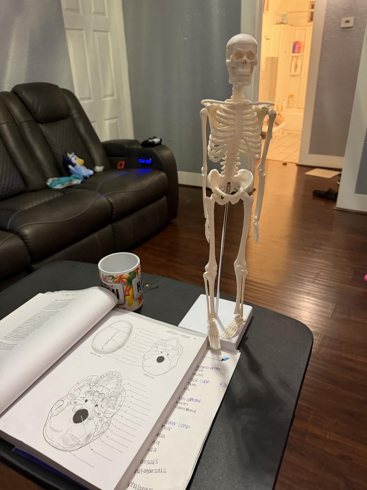 breesky Life Size Skeleton for Halloween: 4.43ft Realistic Human Anatomy Full Body Skeleton Model with 360° Posable Movable Arms - Skeletons for Outdoor Yard Haunted House Atmosphere Decoration customer photo 2