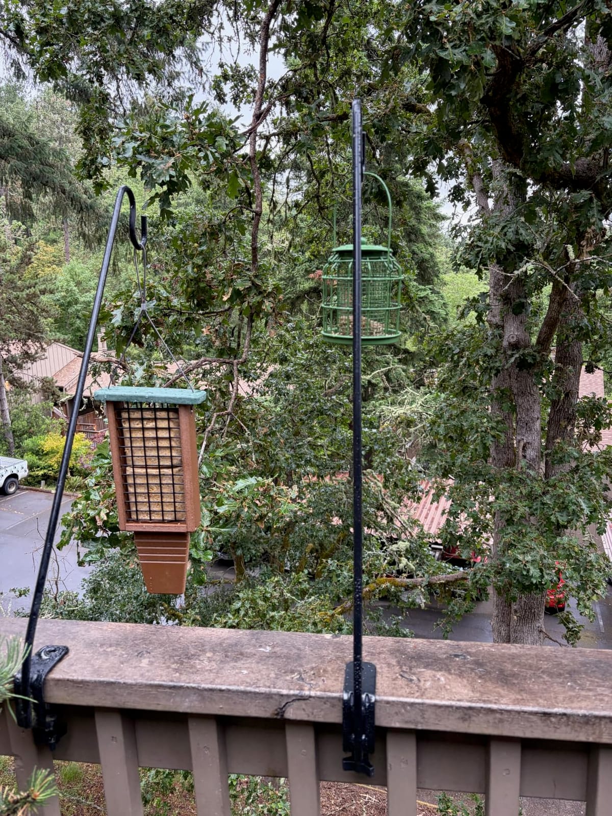 Kingsyard 2 Pack Double Tail-Prop Suet Bird Feeder, Recycled Poly Lumber Suet Feeder, Sturdy and Durable, Outside Hanging, Great for Woodpecker and Clinging Birds, Blue customer photo 2
