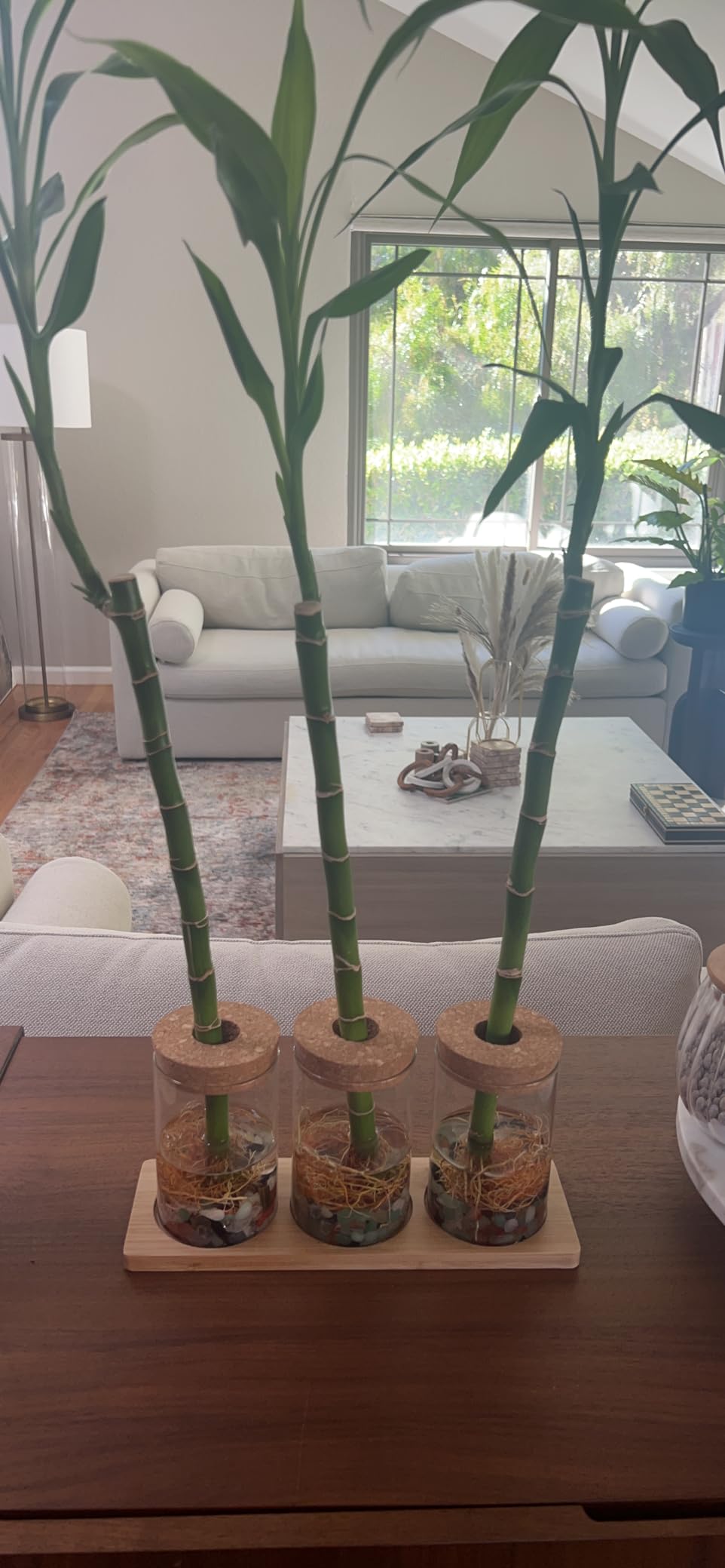 Plants Propagation Station | Vertical Hydroponic Tower Garden - Hydroponics Growing System Indoor, Aeroponic Tower Kit 30 Pods Grow customer photo 1