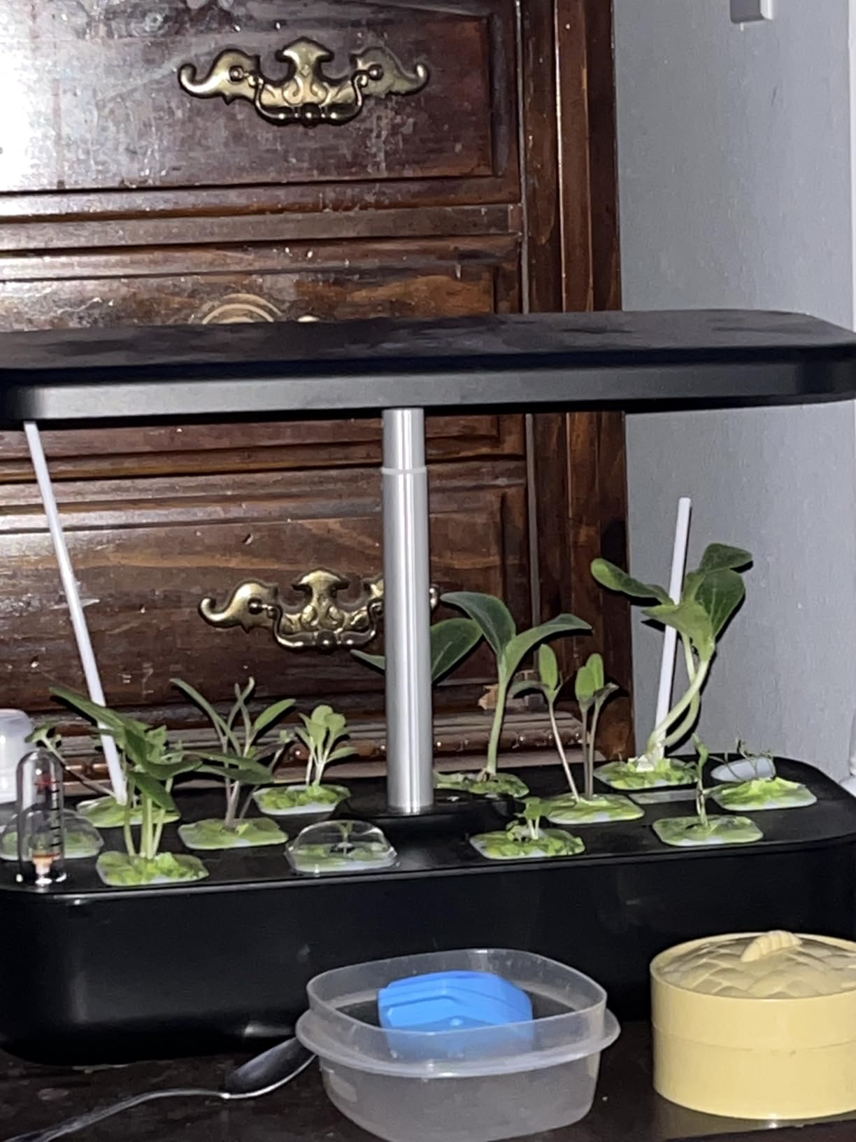 owltron Smart Hydroponics Growing System Kit, 15 Pods Indoor Herb Garden with 36W LED Grow Light & APP Control, Planting Height Up to 30