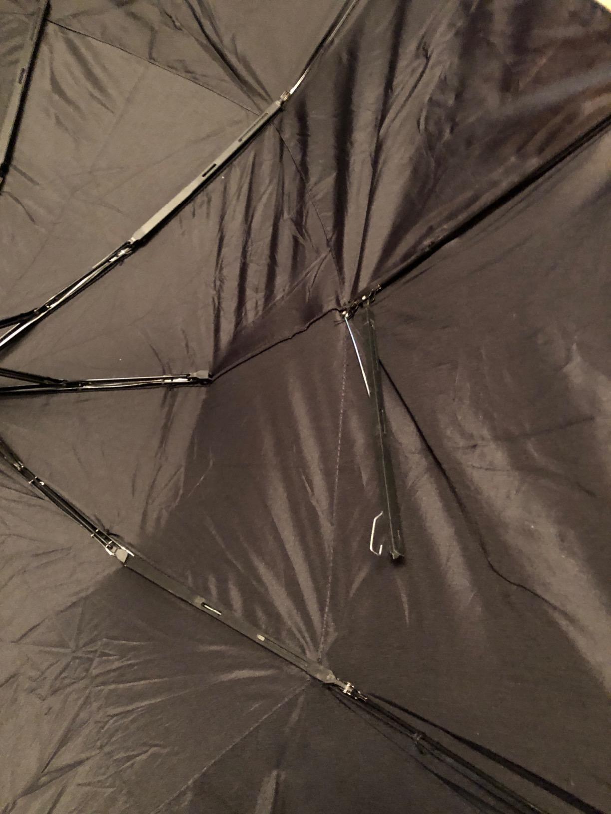 Windproof Travel Umbrella Auto Open Close, Compact 42
