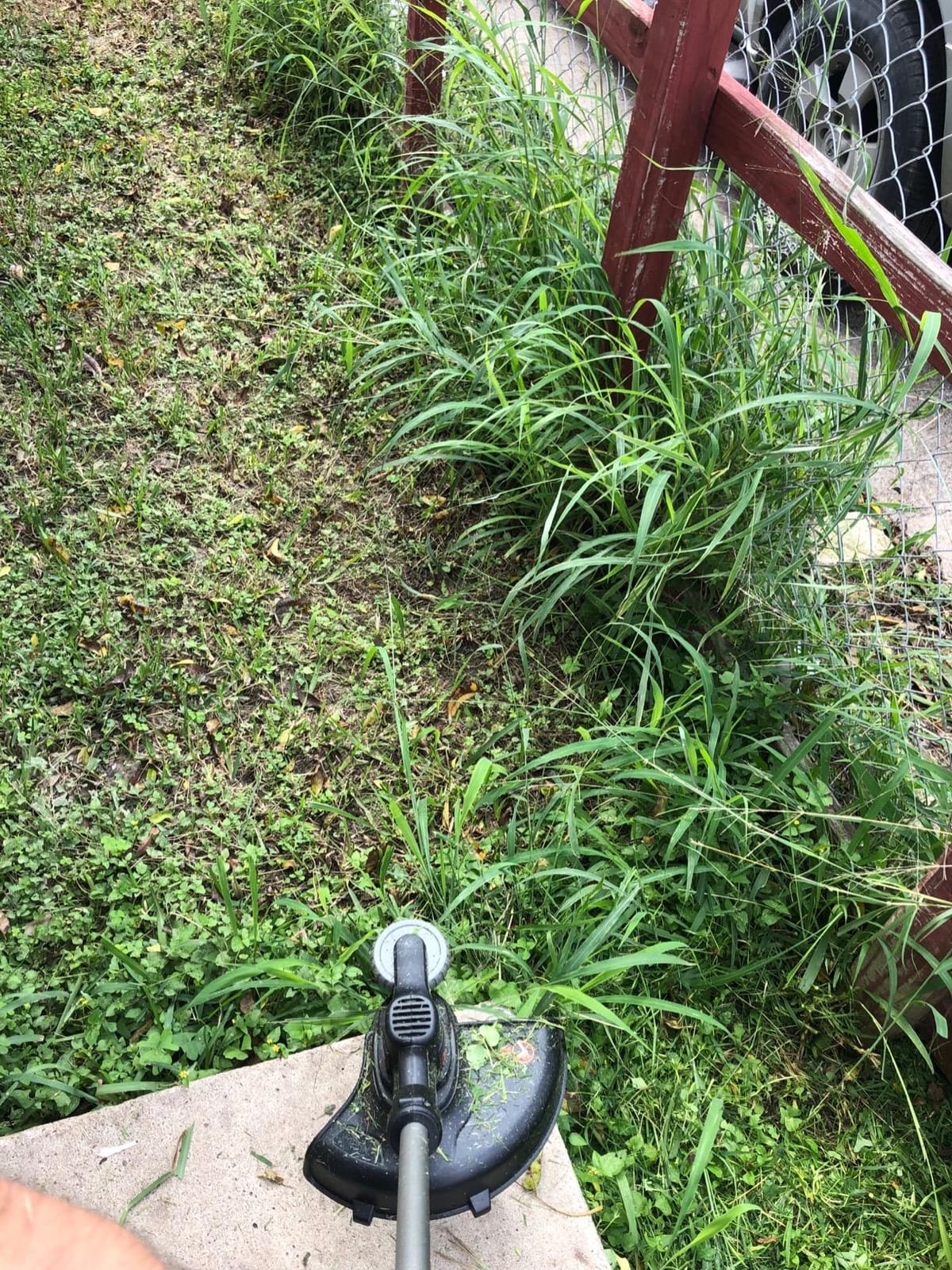 BLACK+DECKER 20V MAX Cordless String Trimmer and Edger, 12 Inch Weed Eater, 2-Speed Control Weed Wacker, 2 Batteries, Charger and Spool Included (LSTE525) customer photo 1