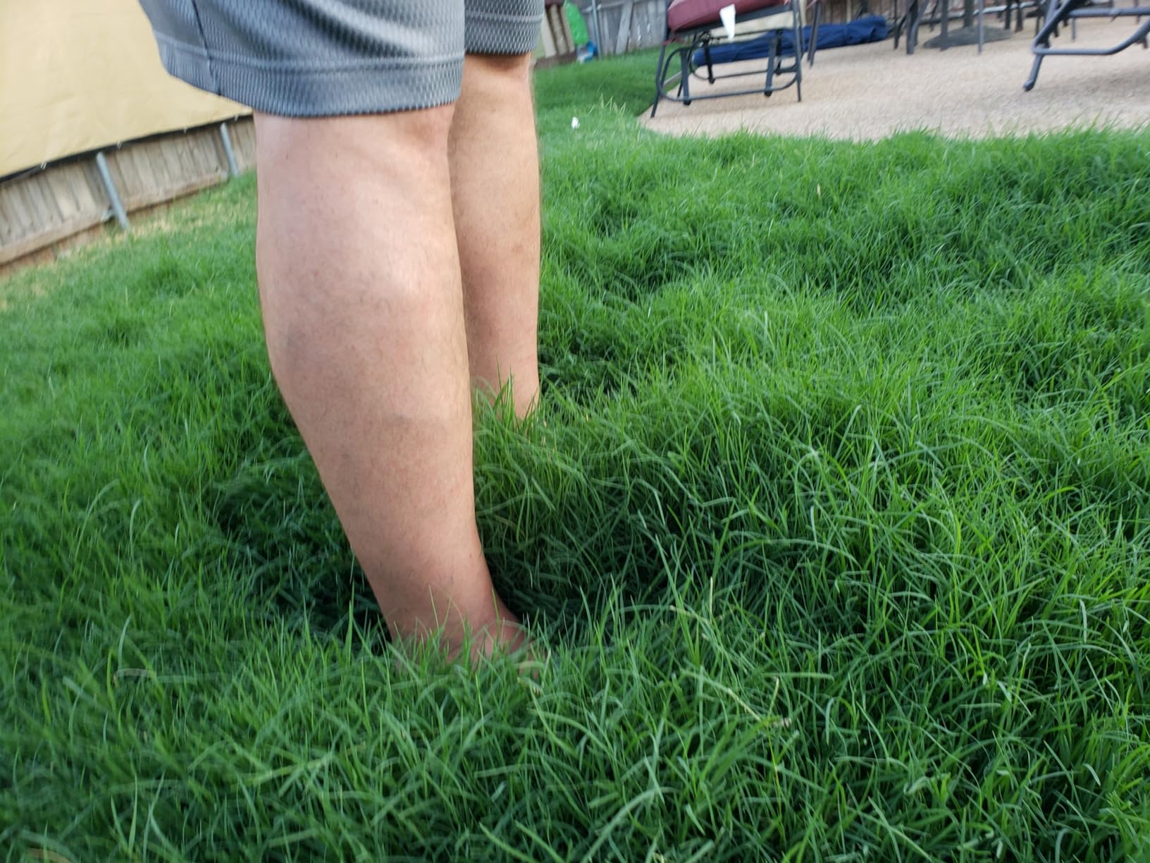 Black+Decker 40V MAX 13 Inch String Trimmer and Lawn Edger with Battery and Charger, Cordless Weed Eater with Charge Indicator, High Torque PowerDrive Technology (LST140C) customer photo 1