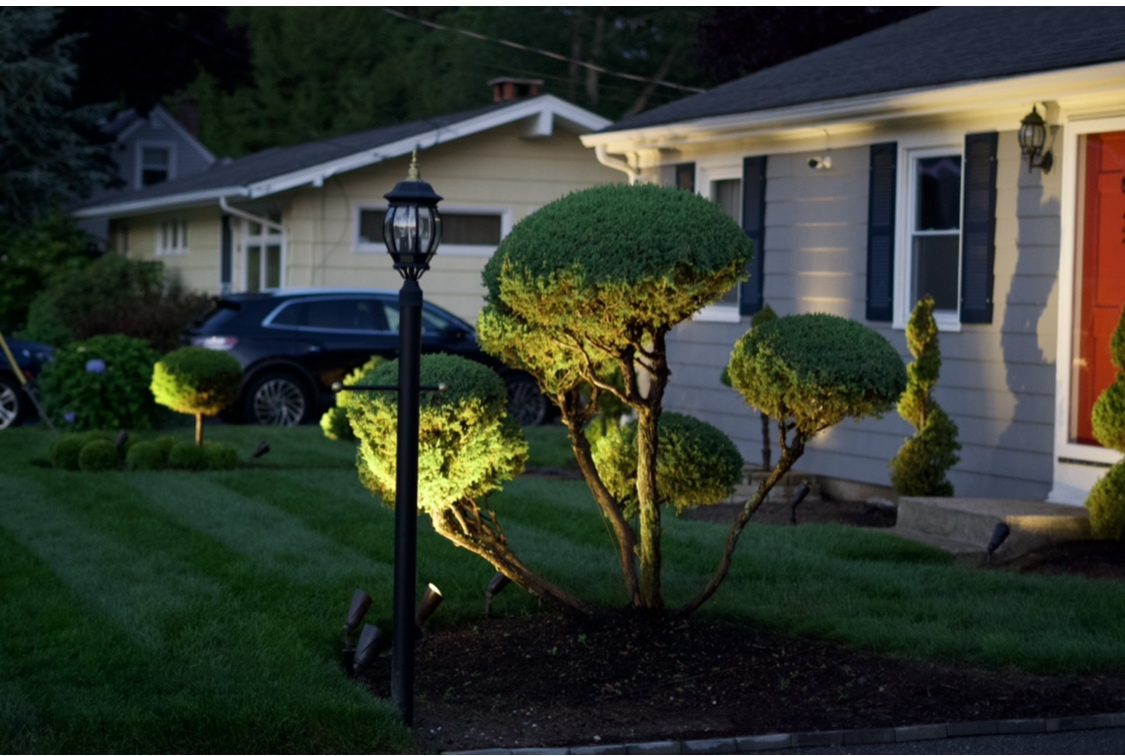 Liquid Soil Loosener- Soil Conditioner-Use alone or when Aerating with Mechanical Aerator or Core Aeration- Simple Lawn Solutions- Any Grass Type-Great for Compact Soils, Standing water, Poor Drainage customer photo 1