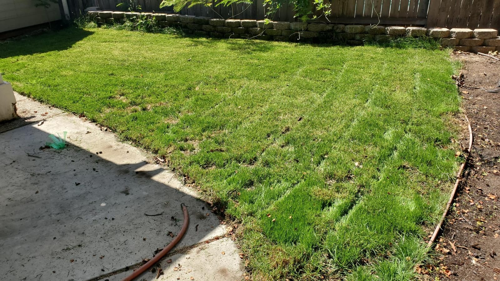 Liquid Soil Loosener- Soil Conditioner-Use alone or when Aerating with Mechanical Aerator or Core Aeration- Simple Lawn Solutions- Any Grass Type-Great for Compact Soils, Standing water, Poor Drainage customer photo 2