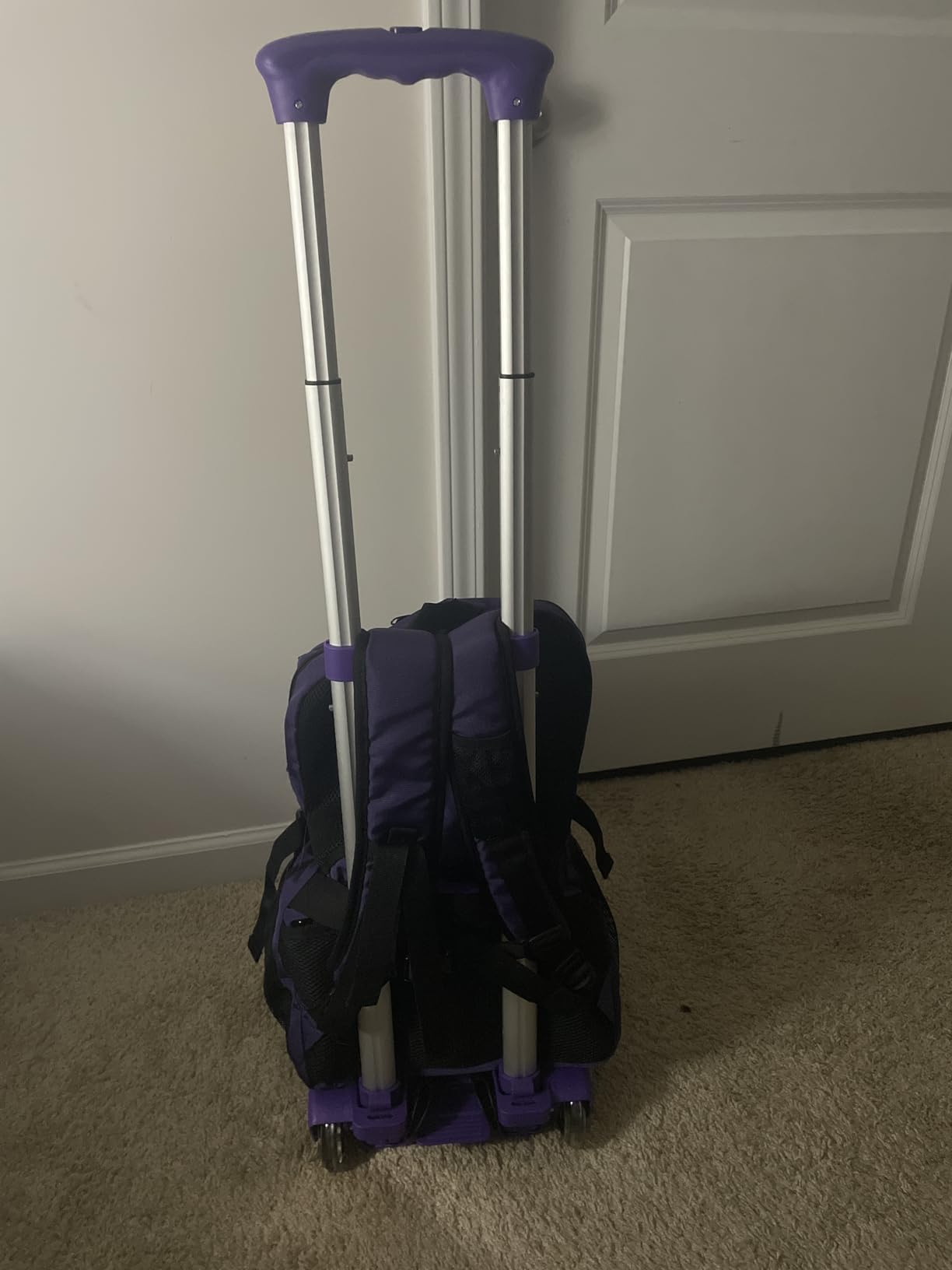Sutekus Folding Hand Truck and Dolly 110-lbs Lightweight Portable Luggage Cart for School Travel Office Moving (Black) customer photo 2