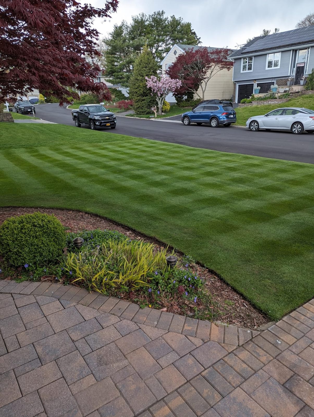 Soft Soil by GS Plant Foods- Liquid Aerator and Lawn Treatment(1 Quart) - Liquid Aerator for Any Grass Type, All Season - Great for Compact Soils, Standing Water, Poor Drainage customer photo 2