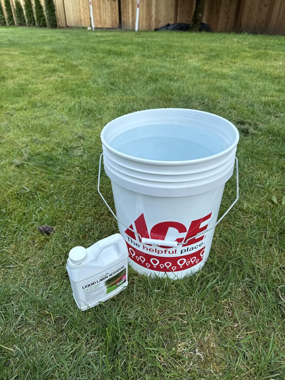 Covington Liquid Lawn Aerator (32oz) – Soil Conditioner & Softener for Lawns & Gardens – Loosens Clay & Compacted Soil for Better Water & Nutrient Absorption – Liquid Aeration Concentrate, Made in USA customer photo 2