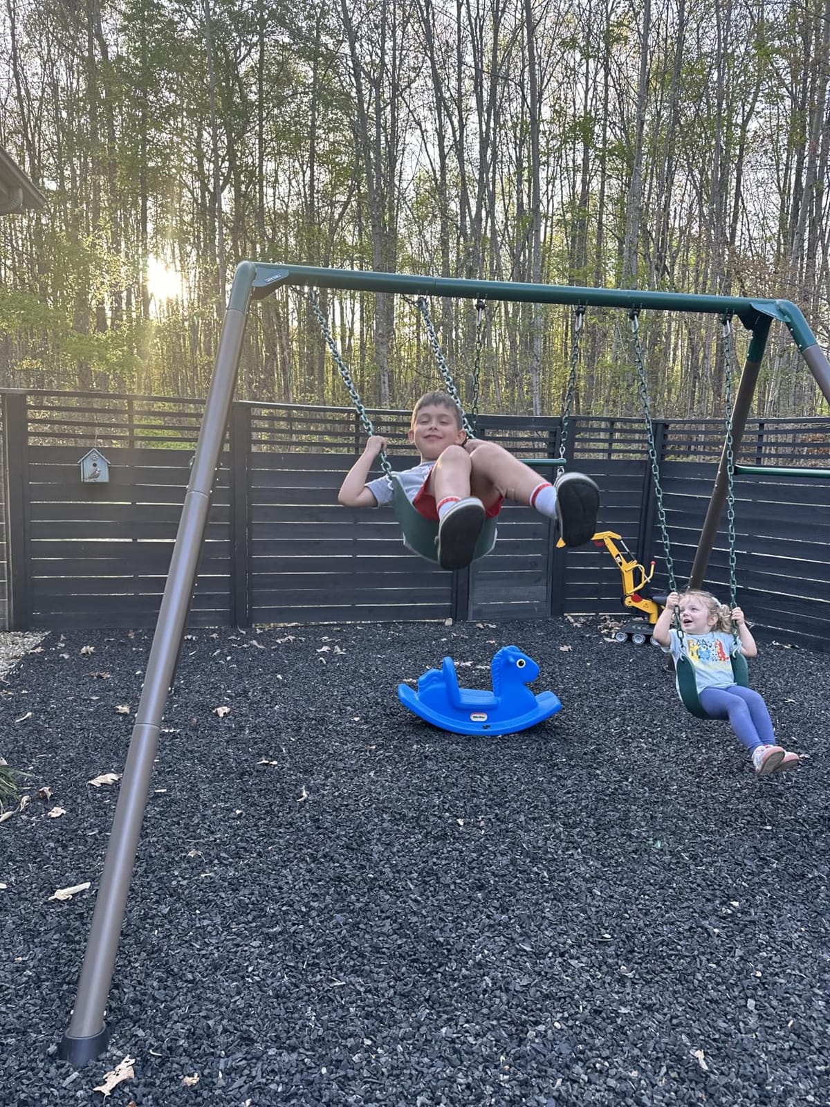 Lifetime Metal Swing Set - Heavy Duty Outdoor Playset for Kids customer photo 1