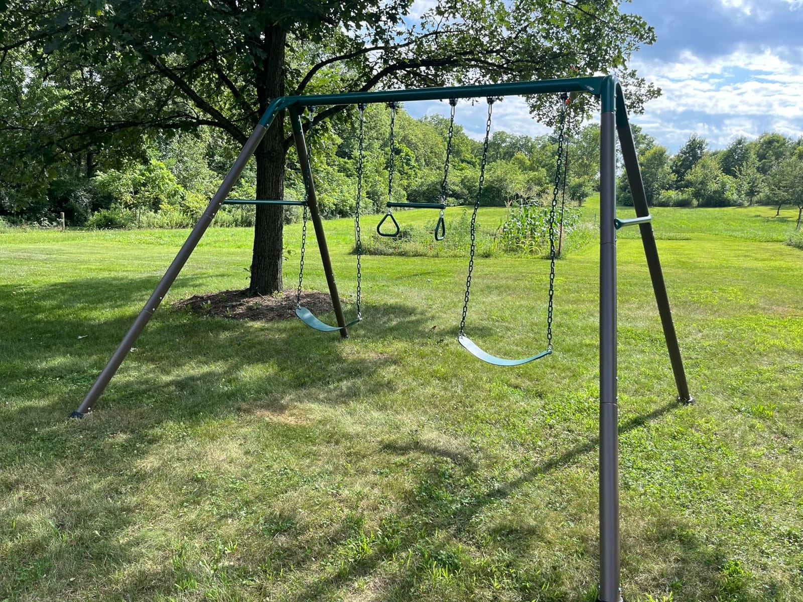 Lifetime Metal Swing Set - Heavy Duty Outdoor Playset for Kids customer photo 2