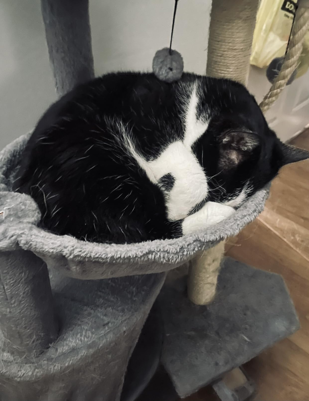 Three Layer Cat Tree with Cat Condo and Two Hammocks,Grey customer photo 1